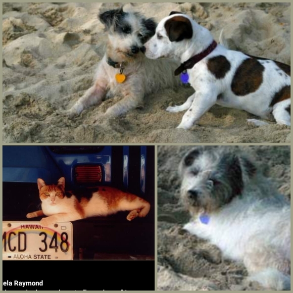 A Bit About Me 😁 - Picture 6 of 16